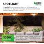 Sunco Lighting PAR30 LED Bulb, Dusk-to-Dawn Photocell Sensor, 11W=75W, 3000K Warm White, 850 LM, Waterproof, Auto On/Off Outdoor Security Spotlight - UL