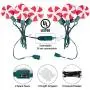 Outdoor Lollipop Christmas Pathway String Lights, 7.16 Feet Wire 10 inched Stake, Clips, Pluggable, Hangable, Waterproof, Connectable Holiday Decor Light for Gutter Roof, 2 Pack,10 Lights, Warm White Outdoor Lollipop Christmas Pathway String Lights, 7.16 Feet Wire 10 inched Stake, Clips, Pluggable, Hangable, Waterproof, Connectable Holiday Decor Light for Gutter Roof, 2 Pack,10 Lights, Warm White