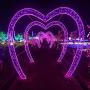 Sheila 65.6 Feet 200LED String Lights 8 Mode Flashing Controller Fairy Twinkle Decorative Lights for Kids Bedroom, Wedding, Chirstmas Tree, Festival Party, Garden, Patio, Room Decoration (Purple)