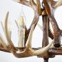 Antler Chandelier 4 Light 24.5'' Diameter X 15.75'' Tall BN-1033-4 BR Antler Chandelier 4 Light 24.5'' Diameter X 15.75'' Tall BN-1033-4 BR