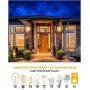 WENFENG Dusk to Dawn Sensor Outdoor Wall Light Fixtures with Waterproof Anti-Rust Matte White Finish, Clear Glass Shade, Wall Mount Exterior Lights for House Porch Garage Outside WENFENG Dusk to Dawn Sensor Outdoor Wall Light Fixtures with Waterproof Anti-Rust Matte White Finish, Clear Glass Shade, Wall Mount Exterior Lights for House Porch Garage Outside