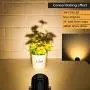 Kohree Upgraded Landscape Lights, 12V Low Voltage Plug in LED Outdoor Spotlight Landscape Lighting Waterproof for Driveway, Yard, Lawn, Swimming Pool,Garden Lights, UL Adapter (Warm White,4 Pack)