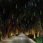 Roytong Waterproof Cascading LED Meteor Shower Rain Lights Outdoor for Holiday Party Wedding Christmas Tree Party Tree Decoration Birthday Gift (Green, 11.80)