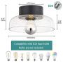 TeHenoo Semi Flush Mount Ceiling Light,Seeded Glass Shade Ceiling Light Fixture for Dining Room,Cafe, Bar, Corridor, Hallway, Entryway, Passway
