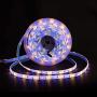 LED Strip Lights, RGBW Led Strip Waterproof 12v 16.4ft (5M) 300LEDs SMD 5050 Warm White Plus RGB Light with 40 Keys Remote Controller and 5A Power Supply (RGBWW Set) ((RGBWW Set))