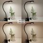 LEPOWER Clip on Light/Reading Light/Light Color Changeable/Night Light Clip on for Desk, Bed Headboard and Computers (Black)