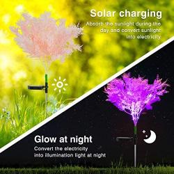 Neporal Garden-Solar-Lights-Outdoor-Decorative, 2 Pack Solar Flowers Lights Garden Lights Solar Powered IP65 Waterproof Solar Stake Lights Garden Decoration for Patio Yard Garden Pathway( Pink)