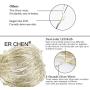 ER CHEN Color Changing Battery Operated Fairy Lights, 66ft 200 LED Twinkle String Lights 8 Modes Silvery Copper Wire Lights with Remote/Timer for Indoor Outdoor Christmas (Warm White&Multicolor)