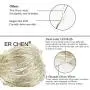 ER CHEN Dimmable USB String Lights, 33ft 100 LED Warm White & Pink Color Changing Fairy Lights with Remote&Timer, 8 Modes Silver Coated Copper Wire Lights for Bedroom, Patio, Party
