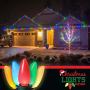 CHRISTMAS LIGHTS FACTORY - C9 - Multi Color - Super Bright LED Frosted Bulbs - 25 Bulbs ONLY - Commercial Grade - Dimmable - Indoor & Outdoor. Be a Beacon of Holiday Spirit, Joy.