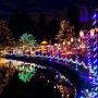 MAOKOT Solar String Lights, 8 Modes 72ft 200 LED Solar Christmas Lights, Waterproof LED Solar Powered Fairy String Lights for Garden Fence Holiday Party Decor (Multicolor)