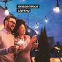 Brightech Ambience Pro with Flaming, Flickering LED Bulbs - Solar Panel Powered Hanging String Lights - Commercial Grade Waterproof, Shatterproof Cafe Lights Create Ambience In Your Yard, Deck - 27 Ft