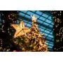 OZS-115Ft 300LED Super Bright Christmas String Lights Indoor/Outdoor, Waterproof 8 Modes (UL Certified), Green Wire Christmas Lights for Xmas Tree Garden Patio Decor (Warm White Unextendable) OZS-115Ft 300LED Super Bright Christmas String Lights Indoor/Outdoor, Waterproof 8 Modes (UL Certified), Green Wire Christmas Lights for Xmas Tree Garden Patio Decor (Warm White Unextendable)