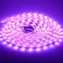 Rxment RGB LED Strip Lights with Remote 10M 32.8 Ft 5050 RGB 300LEDs Full Kit, Blue LED Light Strip, LED Lights Strip, LED Night Light, LED Christmas Lights, LED Rope Lights, LED Tape Light