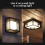 Philips Hue Econic Outdoor White & Color Wall & Ceiling Light Fixture (Hue Hub Required, Works with Alexa, Apple Homekit & Google Assistant)