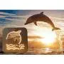 Creative 3D Dolphin Wooden Lamp, LED Table Light USB Power Cartoon Nightlight Desk lamp Home Bedroom Decor Lamp, Gift for Kids Adult Girls Boys Bedroom Living Room Nightstand