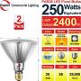Explux 250W Equivalent LED PAR38 Flood Light Bulbs, 2400 Lumens, 2700K 2-Pack, Outdoor Full-Glass Weatherproof, Dimmable, Soft White