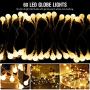 Fairy Globe String Lights 60 LED USB Power 19.7ft Ball String Lights with Remote control, Waterproof Ball String Lights for Bedroom, Indoor Outdoor, Party, Wedding, Christmas, Garden Decor, Warm White