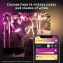 Philips Hue Lily White & Color Outdoor Smart Spot light Extension (Hue Hub & Power Source required), 1 Hue White & Color Smart Spot light + mount kit, Works with Alexa, HomeKit & Google Assistant