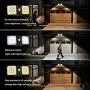 Solar Security Light Outdoor LED Motion Sensor Lights, Motion Detector Lights Solar Powered Flood Light, 2 Head IP65 Waterproof Adjustable Wall Lights for Garage, Porch, Pathway - Warm White+White