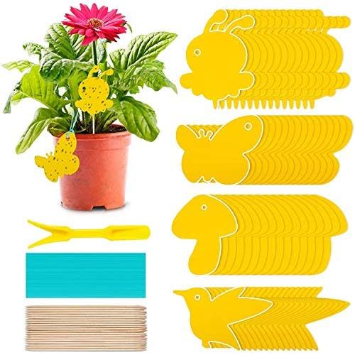 60 Pack Fruit Fly Traps Indoor Gnat Trap, Sticky Fly Traps Fungus Fly Trap and Yellow Sticky Traps, Fungus Gnat Killer for Indoor Plants,Mosquitos,Fungus Gnats,Fruit Flies