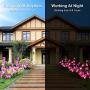HeyMate Solar Garden Lights Outdoor 2 Pack Solar Purple Orchid Flower Lights Waterproof Solar Christmas Decorative Lights for Patio,Yard,Backyard,Pathway HeyMate Solar Garden Lights Outdoor 2 Pack Solar Purple Orchid Flower Lights Waterproof Solar Christmas Decorative Lights for Patio,Yard,Backyard,Pathway