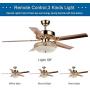 Tropicalfan Metal Led Ceiling Fan With Remote Control 1 Glass Light Cover Home Decoration Living Room Bedroom 5 Reversible Blades Quiet Fans Chandelier Rose Gold