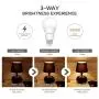 Scheinenda 3-Way A19 LED Light Bulb, 40/60/100 Watt Replacement, 500-1200-1600LM High Power/Lumens and 3000K Warm White LED Lighting,E26 Base LED Bulb for Bathroom & Kichen 2 Packs
