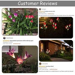 TONULAX Upgraded Solar Lights Outdoor - Color Changing Solar Flower Lights for Garden Decoration, Bigger Flower and Larger Solar Capacity, Gift for Mom and Friends,Pack of 4(Purple, Red, 2 White)