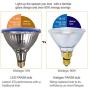 7Pandas Indoor/Outdoor 14W LED PAR38 W/Blue Light, Waterproof Flood Light Bulb, Glass Body, 90W Halogen Equivalent, 1200 LM, ETL Listed, Pack of 4