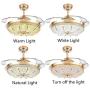 YEELED Light 42 Inch Invisible Reversible Ceiling Fans with 3 Changing Light Color Retractable Ceiling Fan Chandelier with Remote Control for Indoor Living Room Bedroom Dining Room Ceiling Light Kits with Fans (42 Inch, Gold-01)