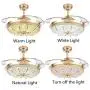 YEELED Light 42 Inch Invisible Reversible Ceiling Fans with 3 Changing Light Color Retractable Ceiling Fan Chandelier with Remote Control for Indoor Living Room Bedroom Dining Room Ceiling Light Kits with Fans (42 Inch, Gold-01)