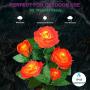 Outdoor Solar Garden Stake Lights,Upgraded LED Solar Powered Lights, Solar Decorative Lights, 2 Modes Flashing Lighting Solar Rose Lights for Patio Pathway Courtyard Garden Lawn (Orange）