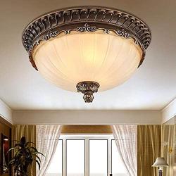 Ceiling Light Living Room Ceiling Light Kitchen Ceiling Lights Bedroom Vintage Antique Decor 3-Ceiling Lamp Glass Lampshade Bar Cafe Salon Indoor Lamp, 30cm