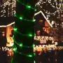 Hopolon Outdoor Rope String Lights, 4.5V Safety UL Plug Powered Waterproof Tube Light with 100 LED, 33 feet 8 Modes Copper Fairy Lights for Garden Fence Patio Yard Wedding Christmas Hall (Green)