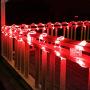 Tupkee LED Rope Light Red - 24 Feet (7.3 m), for Indoor and Outdoor use - 10MM Diameter - 144 LED Long Life Bulbs Rope Tube Lights