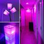 LED Color Changing Light Bulb, ProPOW 10W RGB Light Bulbs with Remote, Dimmable 60W Equivalent Daylight White – Timing Function - A19 E26 Screw Base RGBW Bulb for Home Decor, Bedroom, Party(2 Pack)