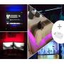 Cinlitek LED Strip Lights, LED TV Backlight 6.56ft for 40-60in Television USB TV Backlight Kit with Remote, 16 Color 5050, HDTV Bias Lamp, Waterproof Bias Lighting Led Light Strip for TV Desktop PC
