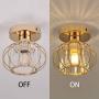 YLONG-ZS Industrial Ceiling Light Fixture with Clear Pannel Glass Shade Semi-Flush Mount for Dining Room, Bedroom, Cafe, Bar, Corridor, Hallway, Entryway, Passway,Gold Finish