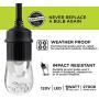 Enbrighten Classic LED Cafe String Lights, Black, 12 Foot Length, 6 Impact Resistant Lifetime Bulbs, Premium, Shatterproof, Weatherproof, Indoor/Outdoor, Commercial Grade, UL Listed, 31660