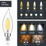 E12 Candelabra LED Bulbs Dimmable 60W Equivalent LED Chandelier Light Bulbs 4.5W Soft White 2700K 500LM B10 Flame Tip Vintage LED Filament Candle Bulb with Decorative Candelabra Base, 12 Packs