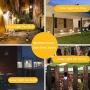 Solar Deck Lights, Solar Light Outdoor 6 LEDs Per Light Waterproof Solar Fence Lights for Outdoor Deck, Patio, Stair, Yard, Path and Driveway Pack of 8