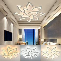 RibasuBB LED Ceiling Light Dimmable Chandelier Flower Metal Acrylic Ceiling Lamp Fixture for Dining Room Bedroom Cafe Bar Corridor Hallway Entryway Passway Decoration (Dimmable-60W+12 Head)