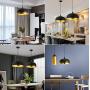 Industrial Black Chandelier Light Fixture, Modern Ceiling Light Dining Room Island Pendant Lighting Metal Hanging Lamp, Dia 13inch