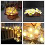 Plumeria String Lights, Fantasee Foam Artificial Plumeria Flower Led String Lights Battery Operated Fairy Lights for Bedroom Home Wedding Hawaiian Luau Party Decor (9.8ft 20LED, Warm White)