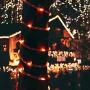 Hopolon Outdoor Rope String Lights, 4.5V Safety UL Plug Powered Waterproof Tube Light with 100 LED, 33 feet 8 Modes Copper Fairy Lights for Garden Fence Patio Yard Wedding Christmas Hall (Red)