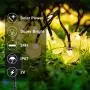 Cosumina Outdoors Globe Solar String Lights 23ft 50 LED Outdoor Bulb String Lights,Waterproof 8 Modes Solar Patio Lights for Patio, Garden, Gazebo, Yard