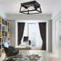 Industrial Ceiling Light - Farmhouse Light Fixtures Flush Mount Ceiling Lights Black 2-Light Metal Cage Shade for Kitchen Island Dining Room Foyer Hallway