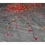 DecoBrite Incandescent Icicle Lights 13 ft 300 ct Multicolor - White Wire, Indoor/Outdoor Christmas Lights