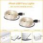 Blingstar Fairy Lights 2 Pack USB Powered String Lights Warm White 33Ft 100 Led Christmas Lights Fairy String Lights for Party Wedding Festival Bedroom Table Decoration